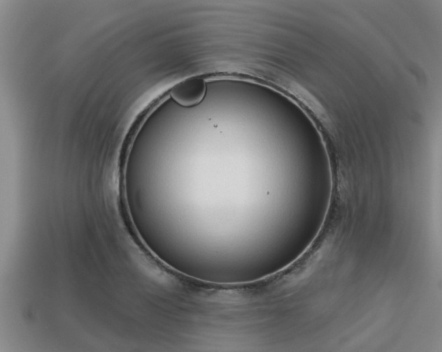 X0000113201028200909171509