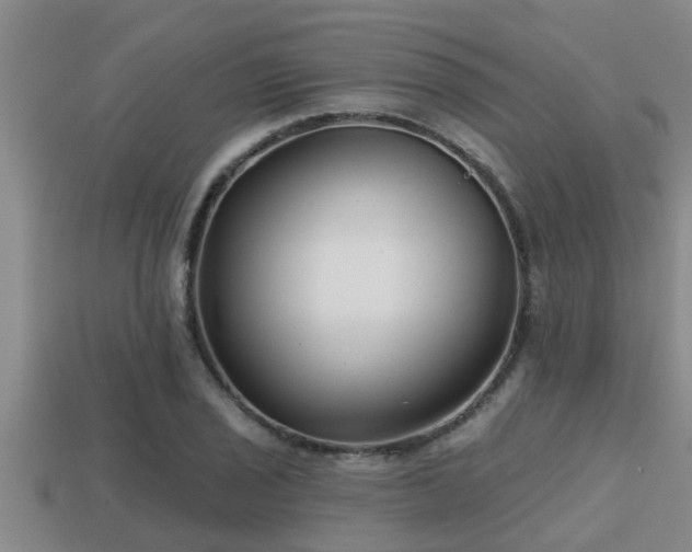 X0000113201029200909171509