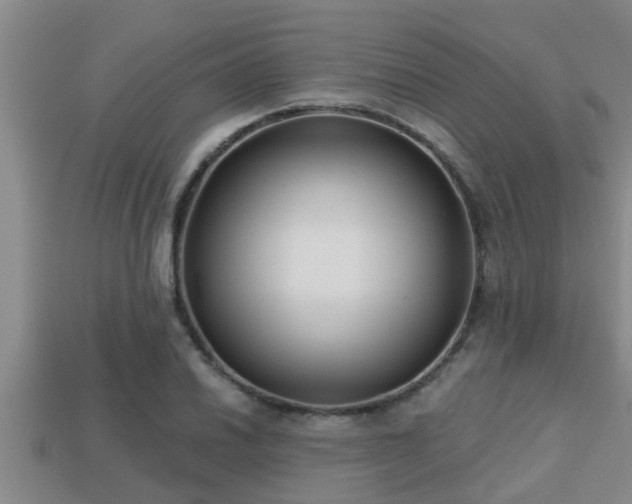 X0000113201030200909171509