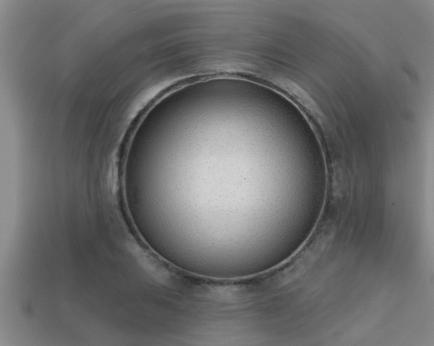 X0000113201031200909171509