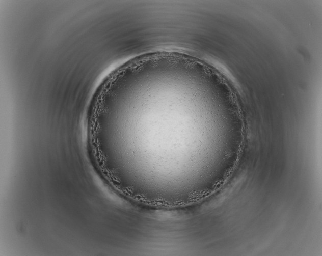 X0000113201032200909171509