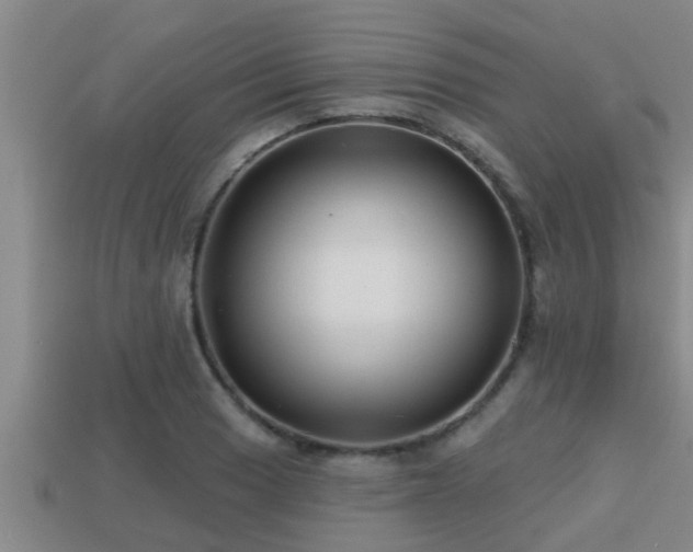 X0000113201033200909171510