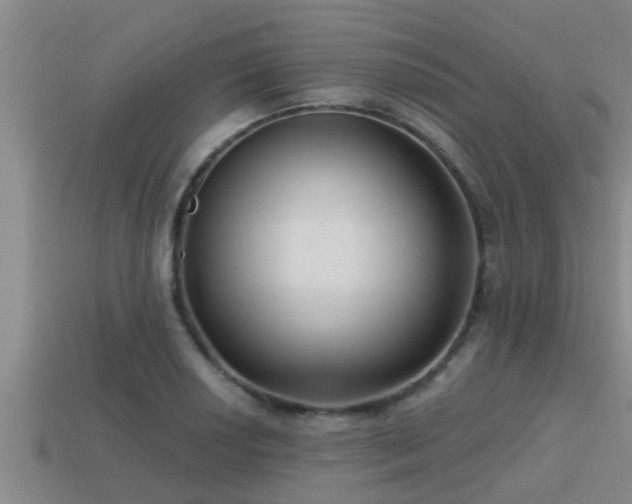 X0000113201034200909171510