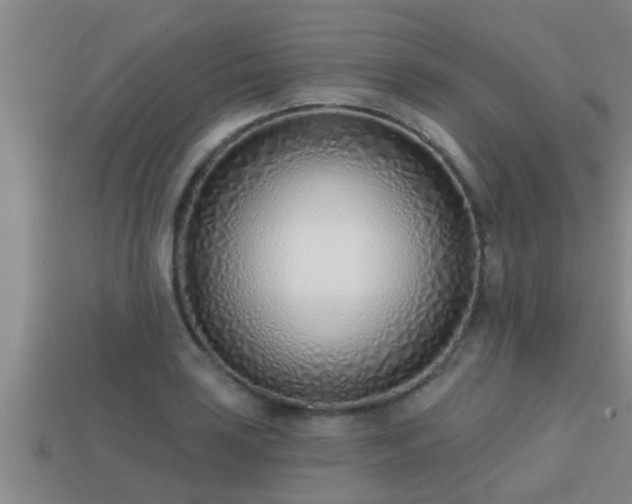 X0000113201035200909171510