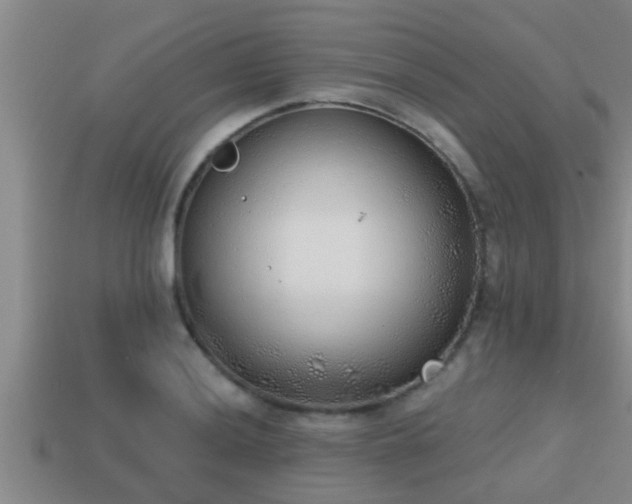 X0000113201036200909171510