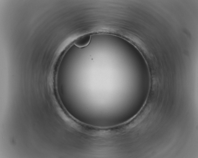 X0000113201038200909171510