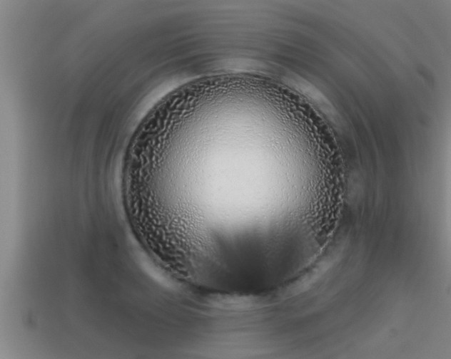 X0000113201039200909171510