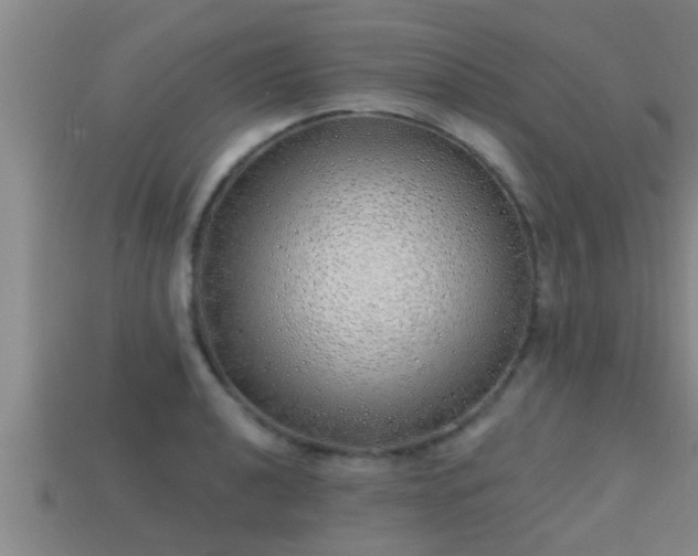 X0000113201040200909171510