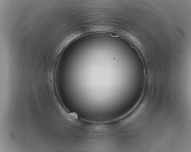 X0000113201041200909171510