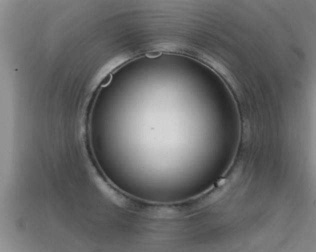 X0000113201042200909171510