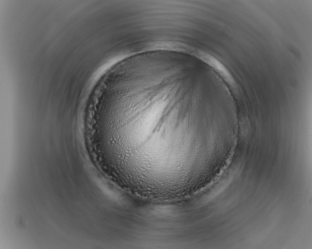 X0000113201043200909171510