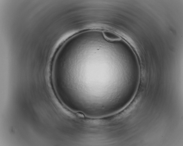 X0000113201045200909171510