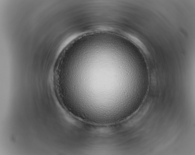 X0000113201047200909171510