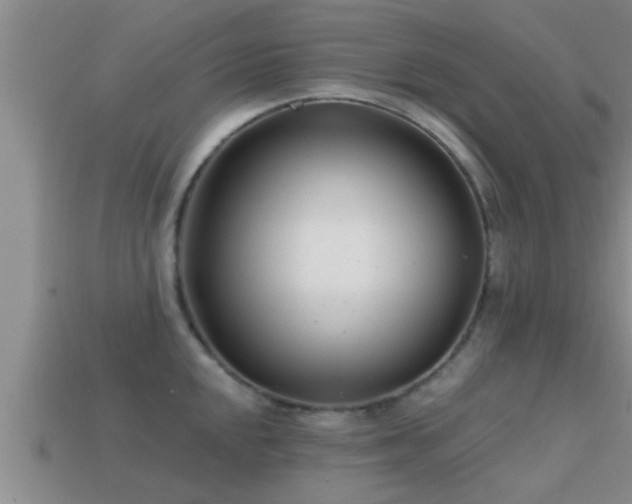 X0000113201048200909171510