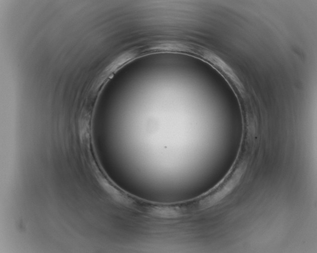 X0000113201049200909171510