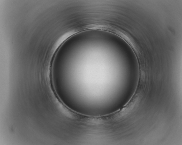 X0000113201050200909171510