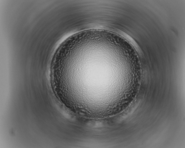 X0000113201051200909171510