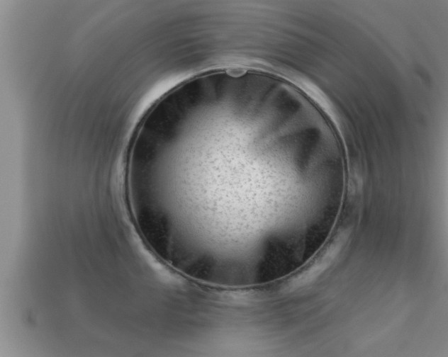 X0000113201053200909171510