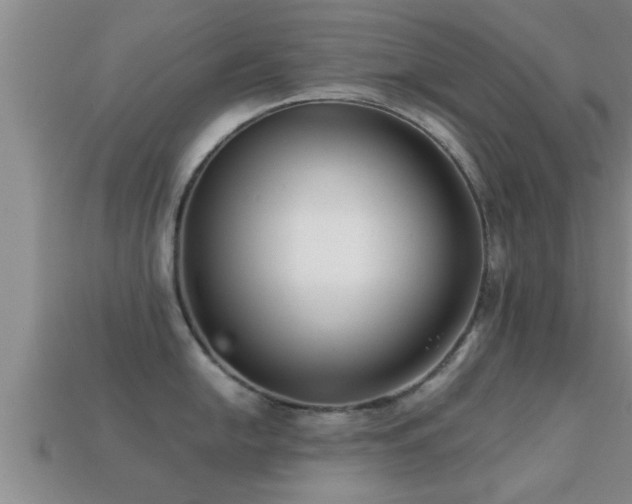 X0000113201054200909171510