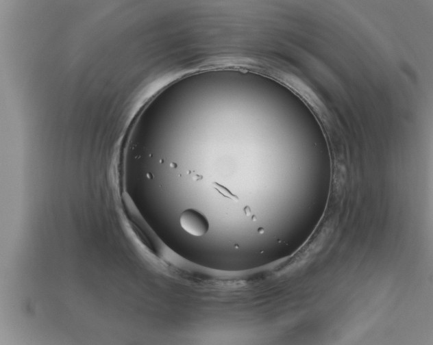 X0000113201055200909171510