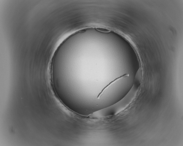 X0000113201056200909171510