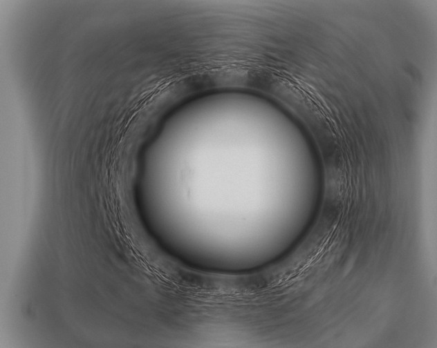 X0000113201057200909171509