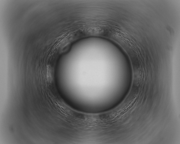 X0000113201058200909171509