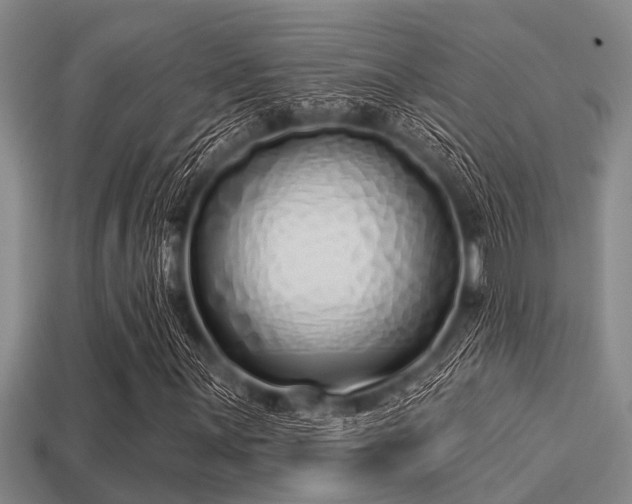 X0000113201059200909171509