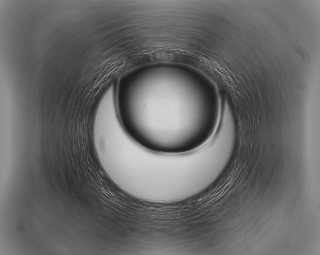 X0000113201060200909171509