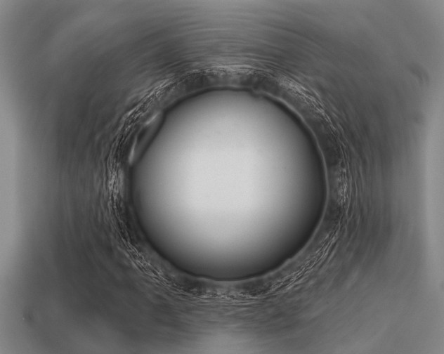 X0000113201061200909171509