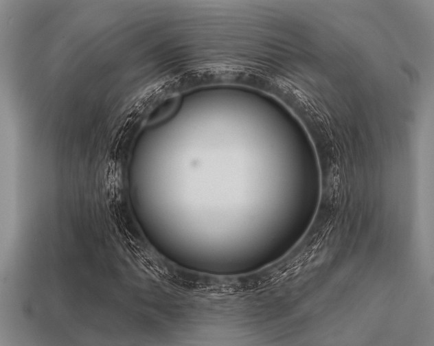 X0000113201062200909171509