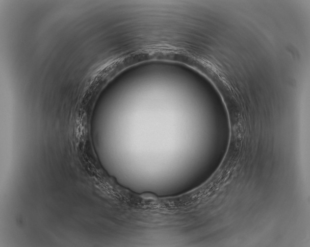 X0000113201063200909171509