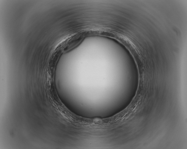 X0000113201064200909171509