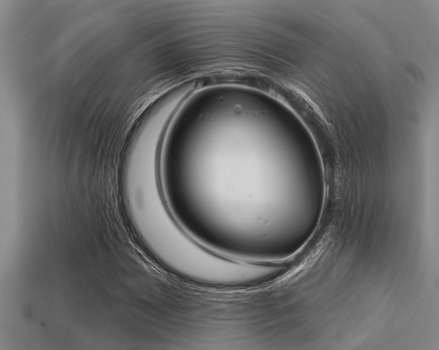 X0000113201065200909171509