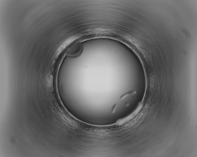 X0000113201066200909171509