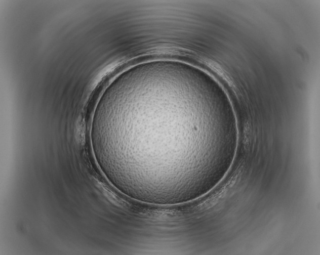 X0000113201067200909171509