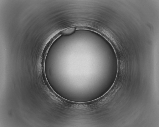 X0000113201068200909171509