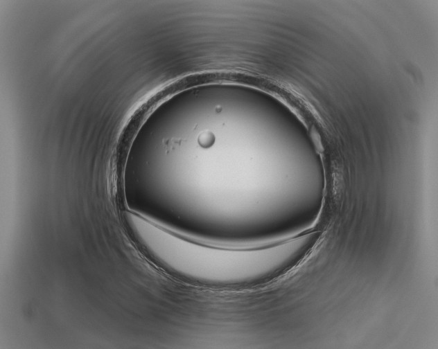 X0000113201069200909171509