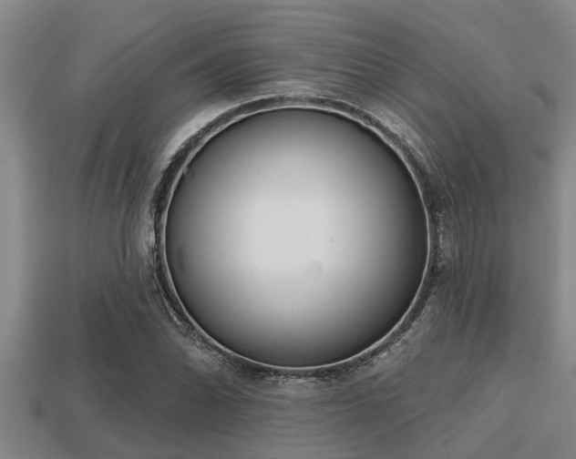 X0000113201070200909171509