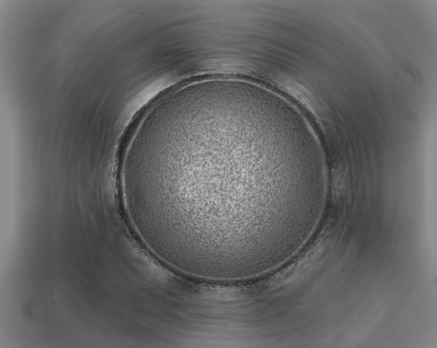 X0000113201071200909171509