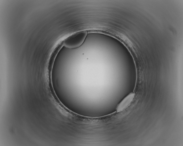 X0000113201072200909171509