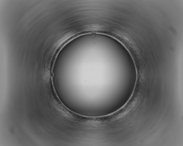 X0000113201073200909171509