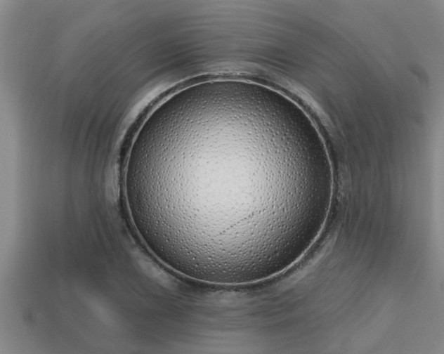 X0000113201075200909171509