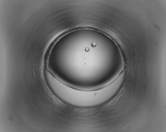 X0000113201076200909171509