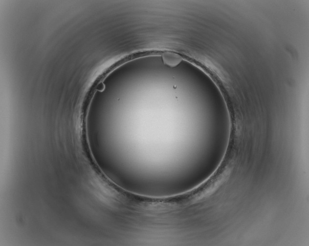 X0000113201077200909171509