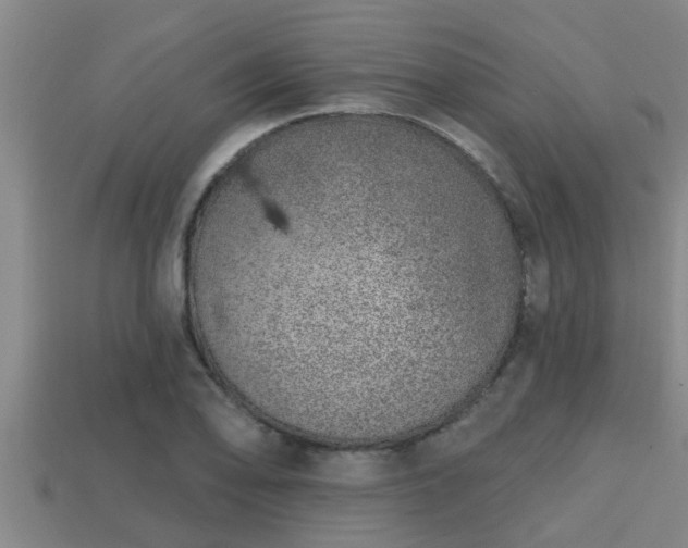 X0000113201078200909171509