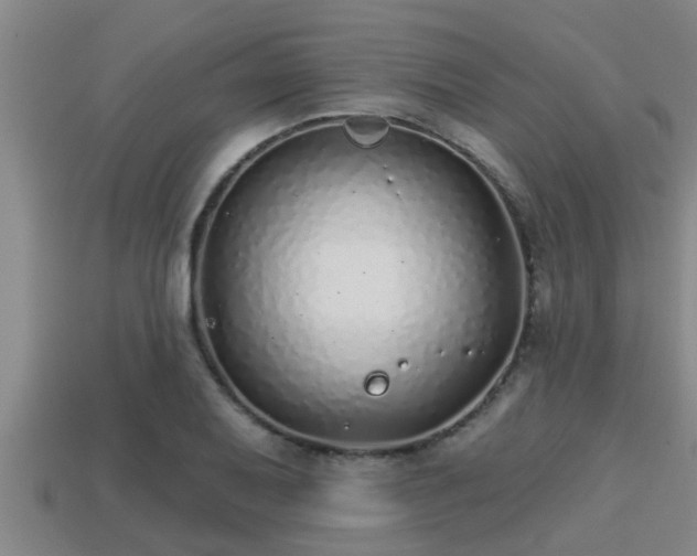 X0000113201079200909171509