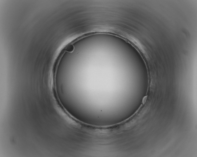 X0000113201080200909171509