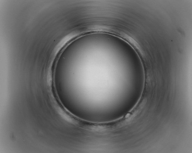 X0000113201082200909171509