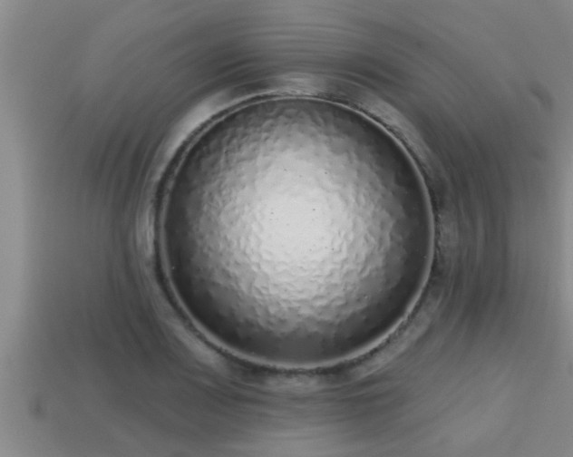 X0000113201083200909171509